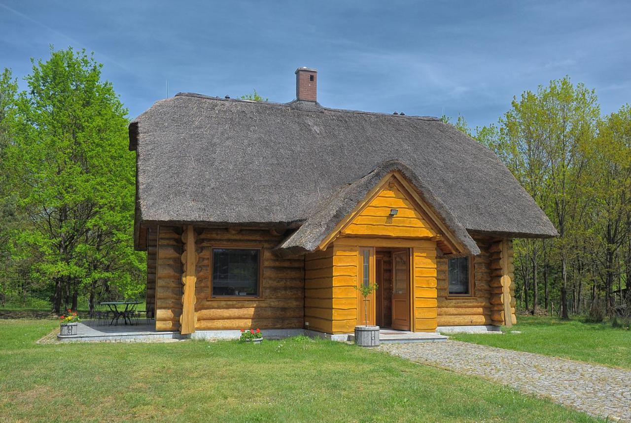 Dom Pod Sosnami Villa Gryżyna Екстериор снимка