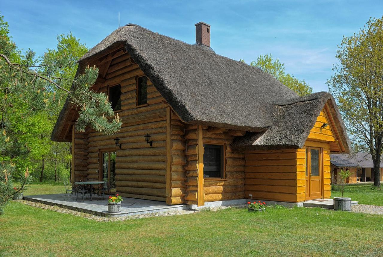 Dom Pod Sosnami Villa Gryżyna Екстериор снимка
