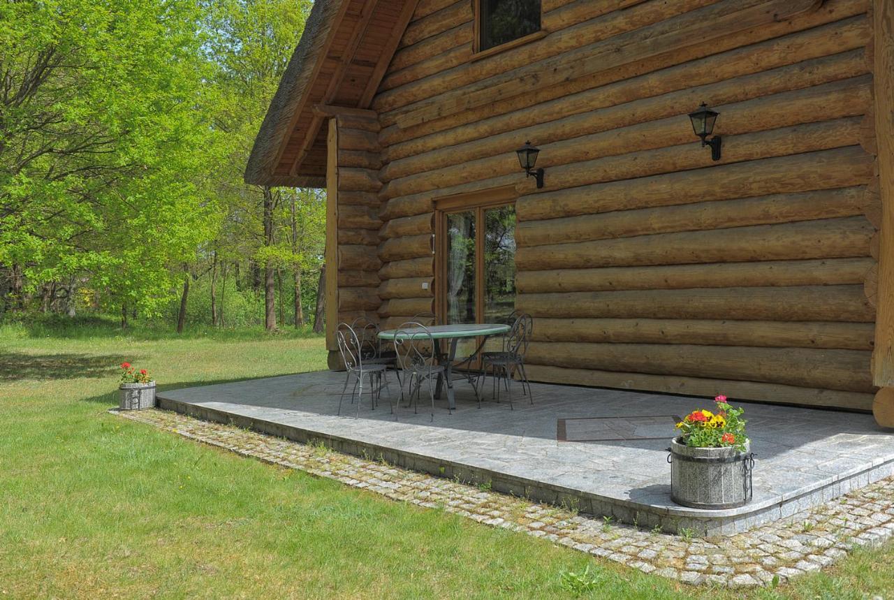 Dom Pod Sosnami Villa Gryżyna Екстериор снимка