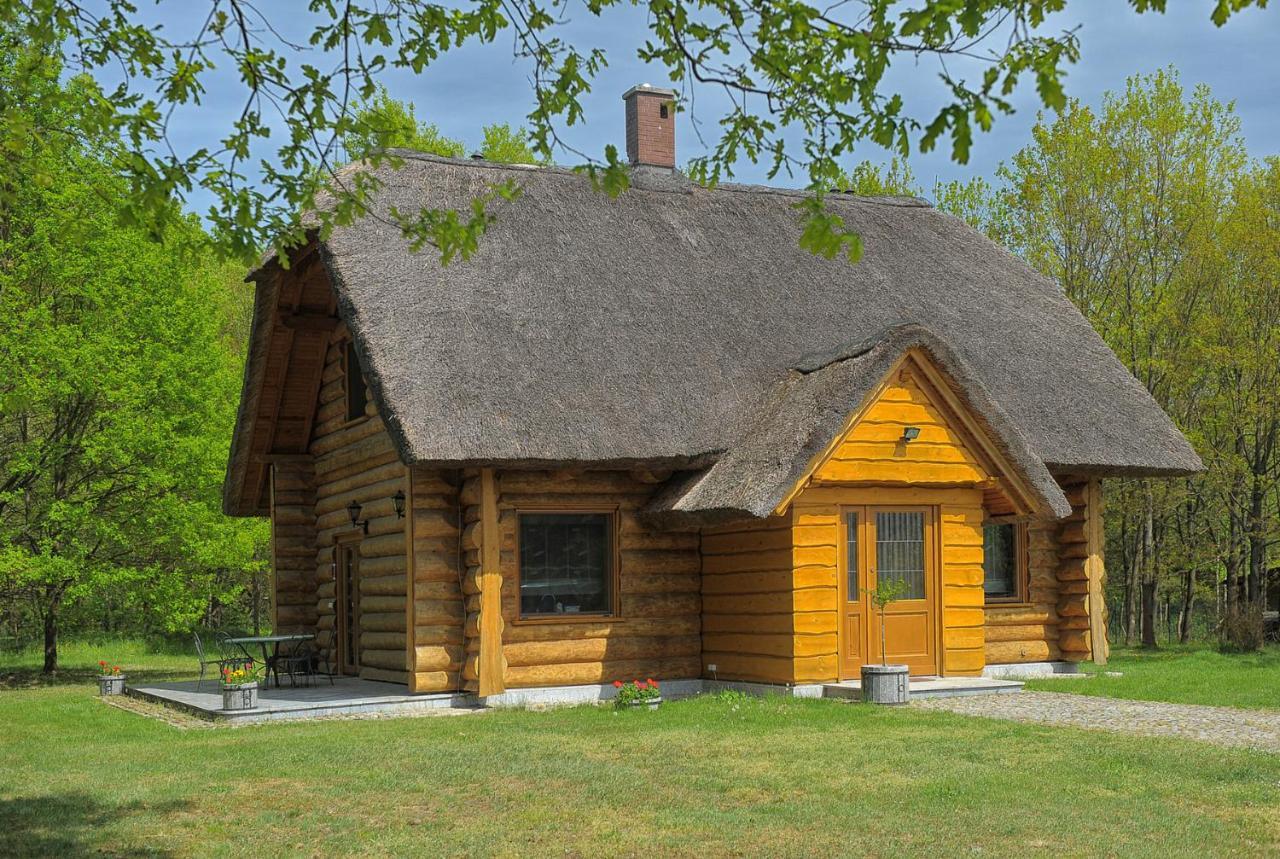 Dom Pod Sosnami Villa Gryżyna Екстериор снимка