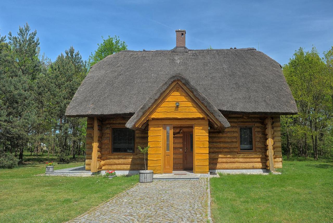 Dom Pod Sosnami Villa Gryżyna Екстериор снимка