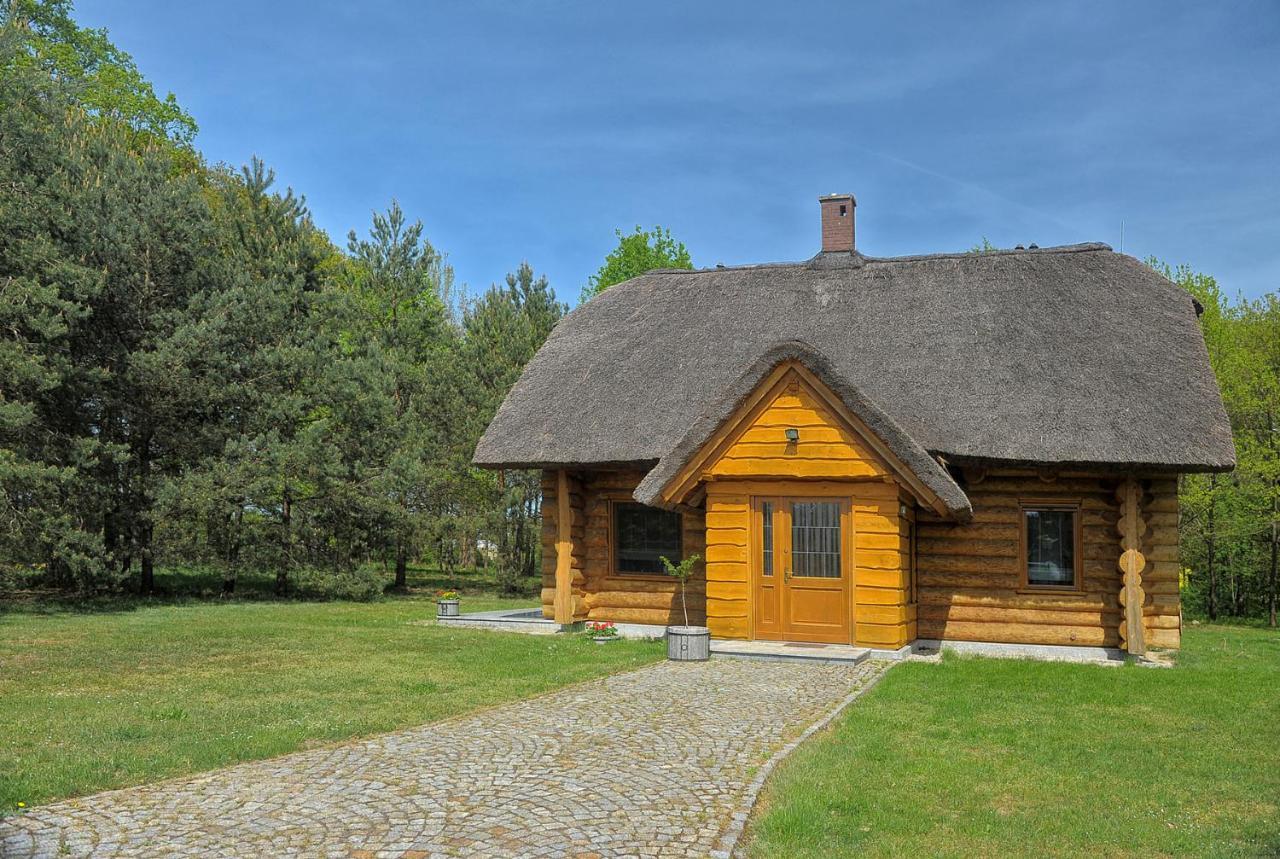 Dom Pod Sosnami Villa Gryżyna Екстериор снимка